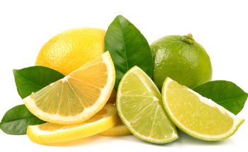 lemon detox diet lemon detox diet